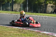 BAS1592