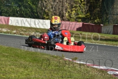 BAS1599