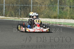 BAS1619
