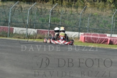 BAS1994