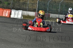 BAS2010