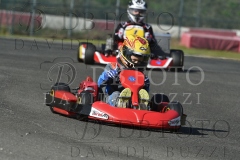 BAS2011
